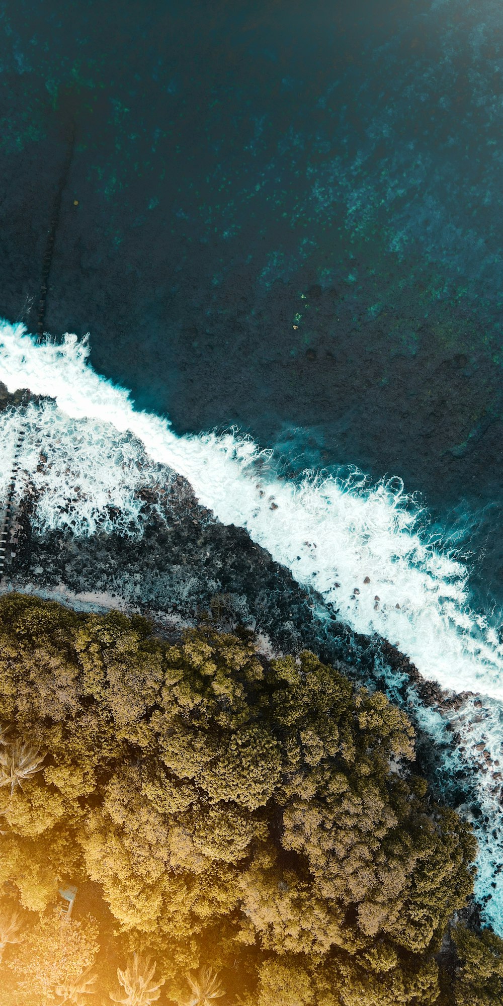 a bird's eye view of the ocean and trees