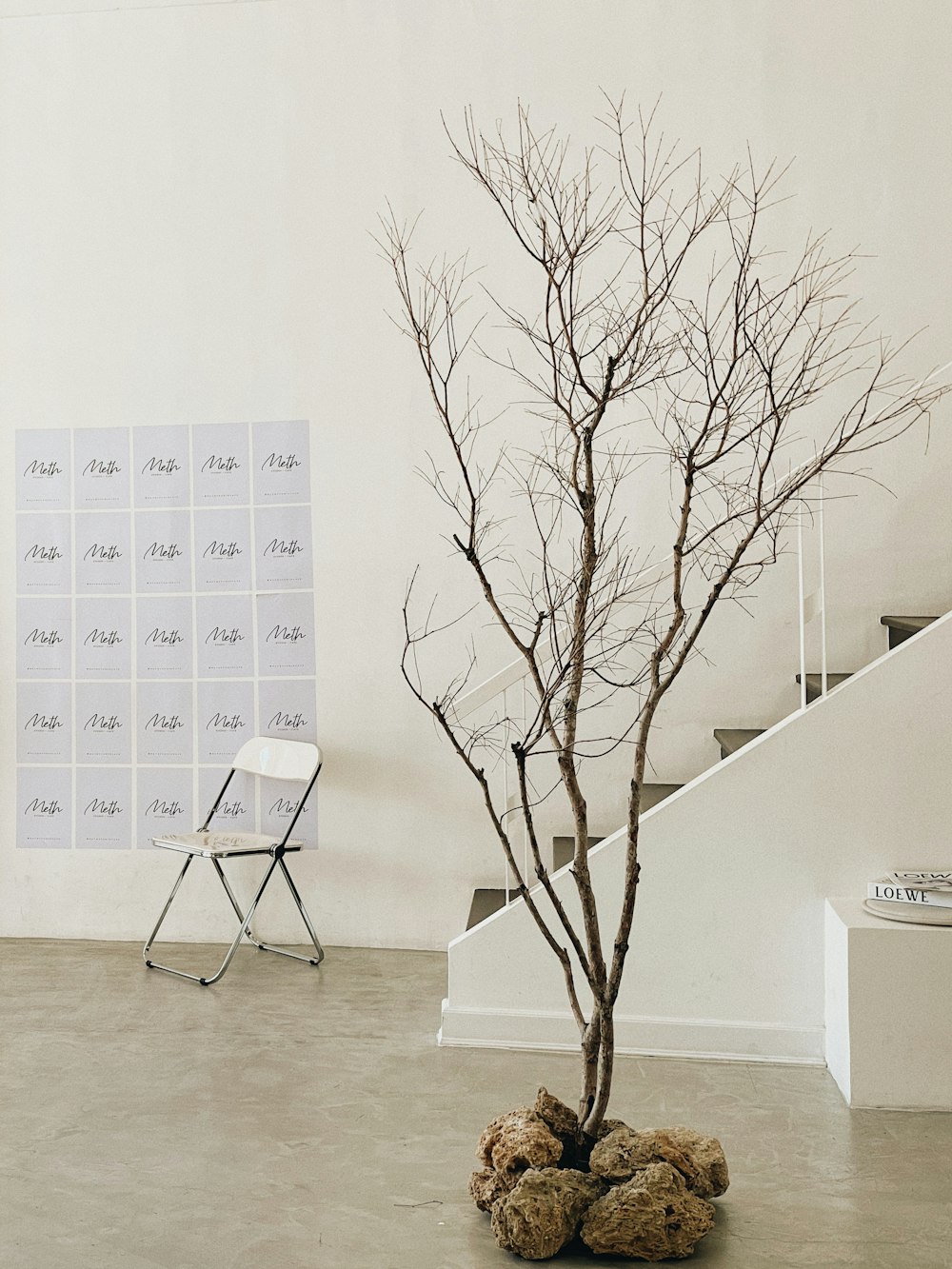 a small bare tree in a room with a chair