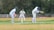 Three cricketers are engaged in a match on a grassy field. Two players are wearing complete protective gear including helmets, pads, and gloves; one is batting while the other is wicketkeeping. A third player is standing upright in a fielding position, wearing a white uniform with a logo. A white picket fence and dense, leafy trees form the background.