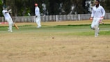Several cricket players in white uniforms are actively participating in a game on a grassy field, with one player preparing to hit the ball and another running. A wooden fence and trees are visible in the background.