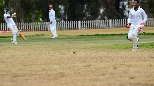 Several cricket players in white uniforms are actively participating in a game on a grassy field, with one player preparing to hit the ball and another running. A wooden fence and trees are visible in the background.
