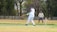 A person is playing cricket on a field, wearing white sports attire and a helmet, while swinging a cricket bat towards a ball. Another person stands behind, likely the wicketkeeper, focusing on the ball. The background consists of trees and a wooden fence encircles the field.