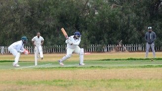 A cricket match scene with a batsman in protective gear preparing to hit a ball. A wicketkeeper crouches behind the stumps, while a bowler and fielders are positioned nearby. The setting is an outdoor field with a grass pitch and trees in the background.