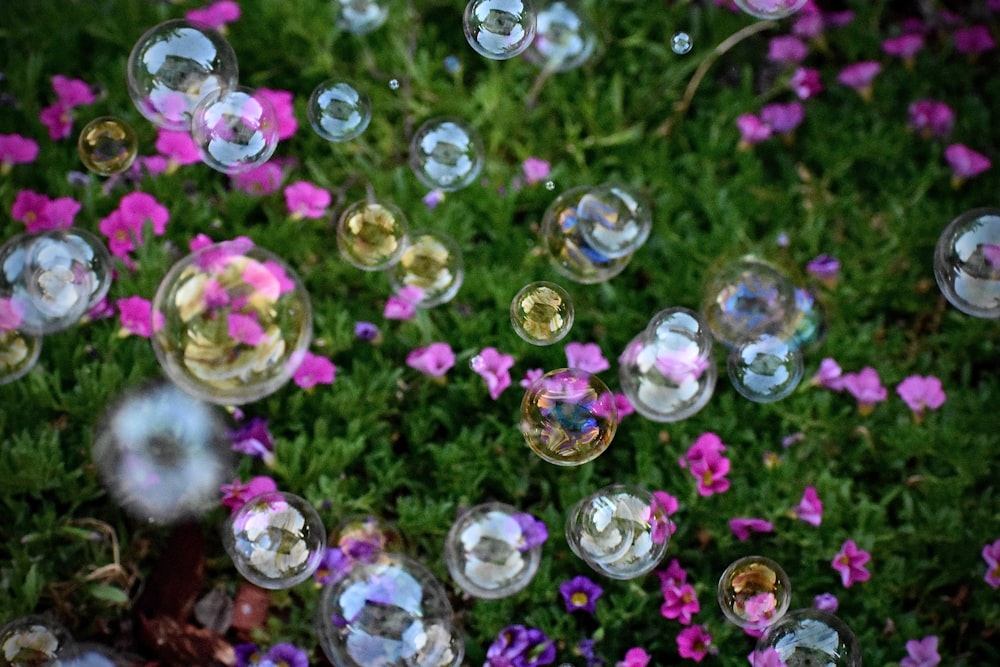 a bunch of bubbles that are in the grass