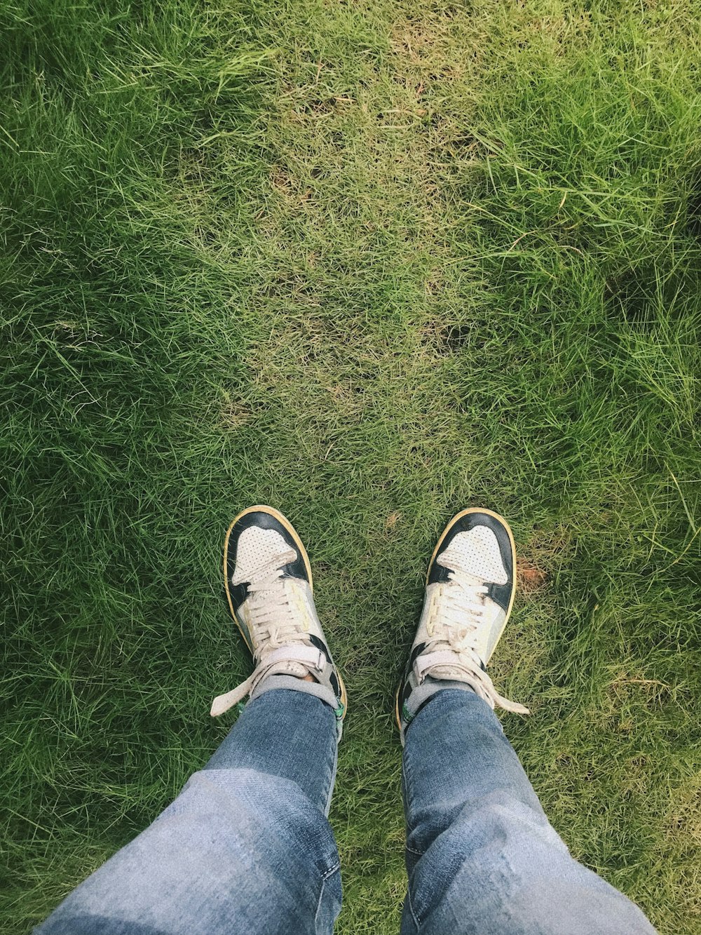 a person standing on top of a lush green field