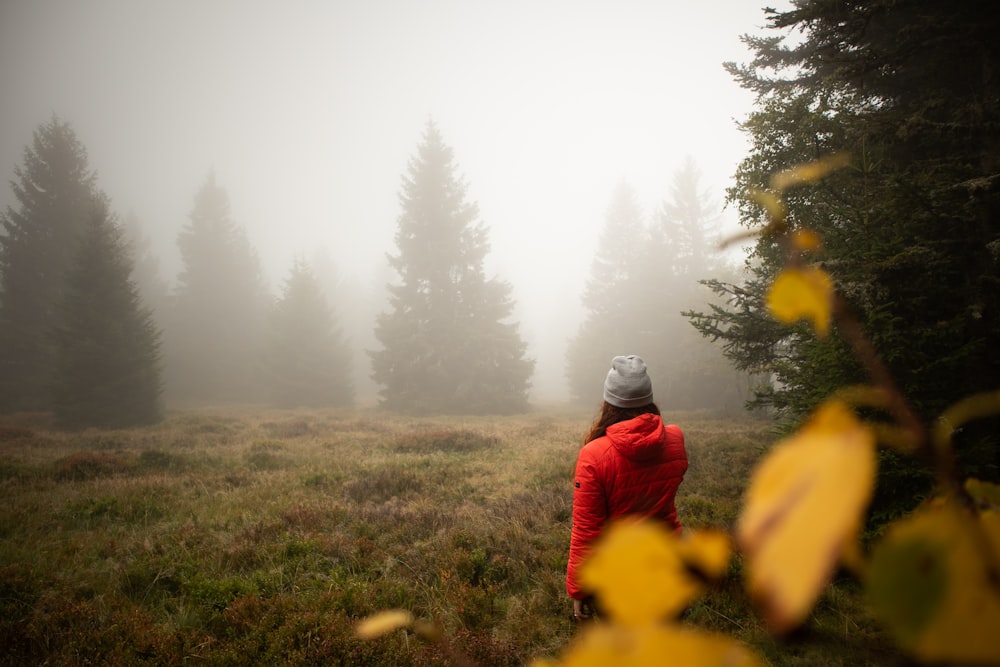 Eine Person in einer roten Jacke steht auf einem Feld