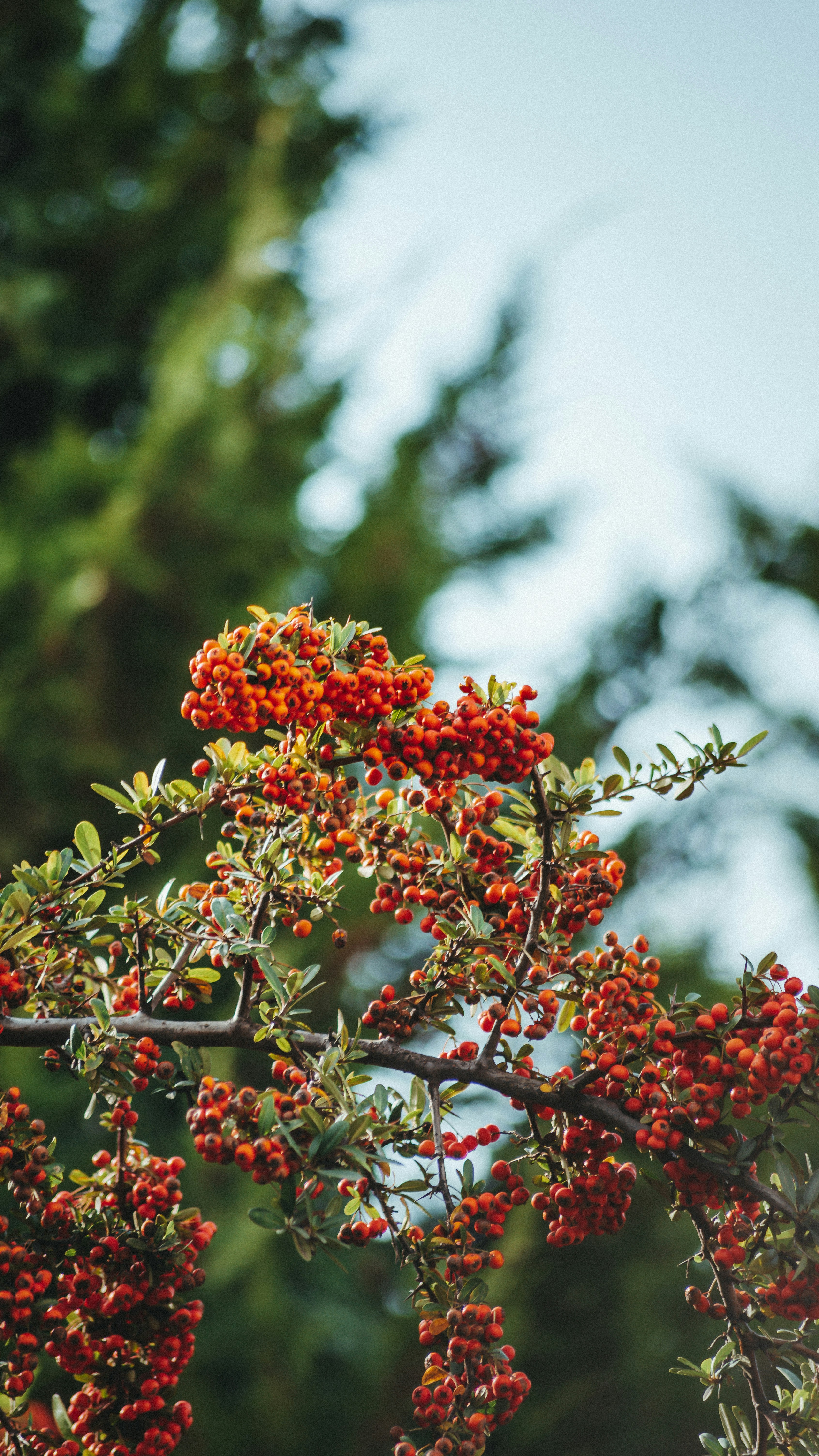 Photo by imadalassiry