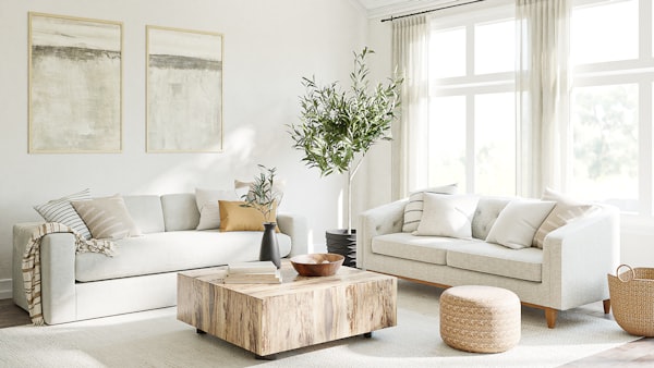 spacious white living room - indoor plants - marble coffee table