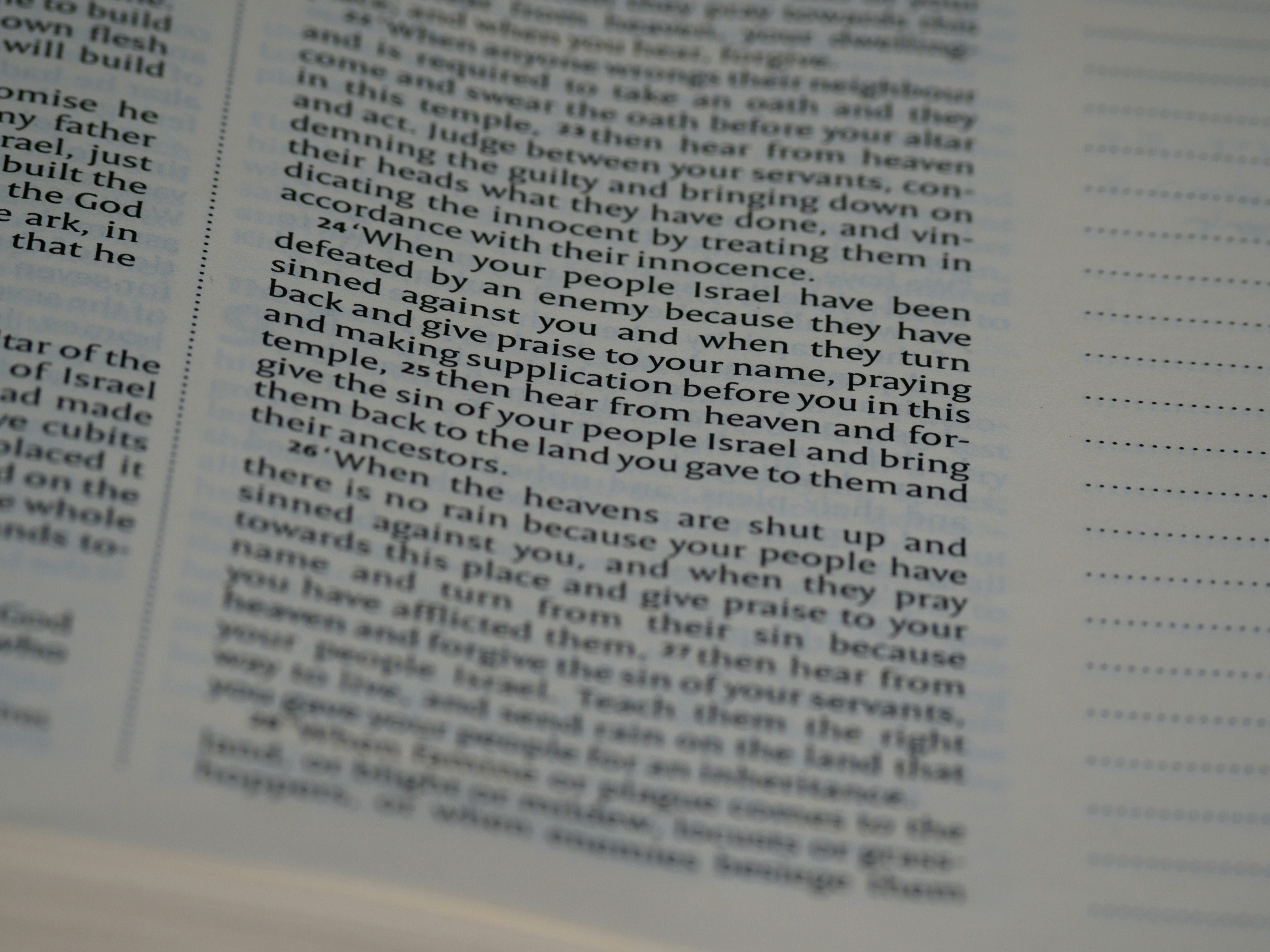 photo-1633506071271-80e4c329a922?ixid=M3wxMjA3fDB8MXxzZWFyY2h8MjB8fG05OC5wYWdlcy5kZXZ8ZW58MHx8fHwxNzYzMDQ4MzY3fDA\u0026ixlib=rb-4.1.0