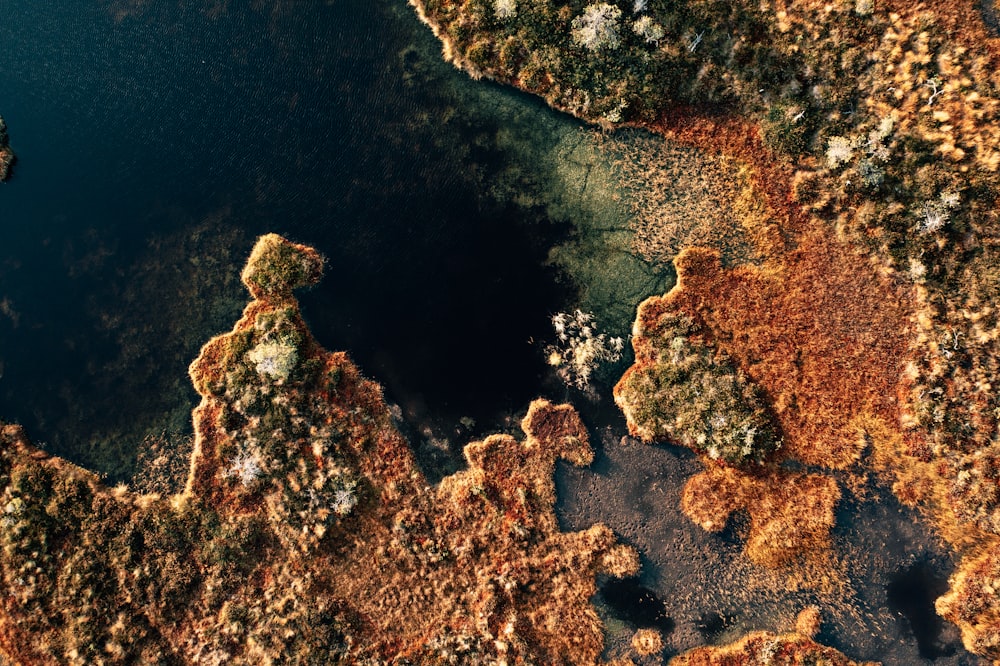 an aerial view of a lake surrounded by trees