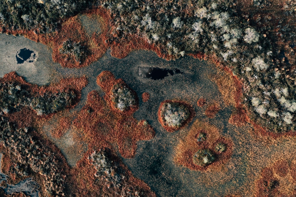 an aerial view of a patch of dirt and rocks