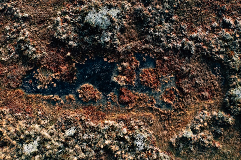 an aerial view of a patch of dirt with a hole in it