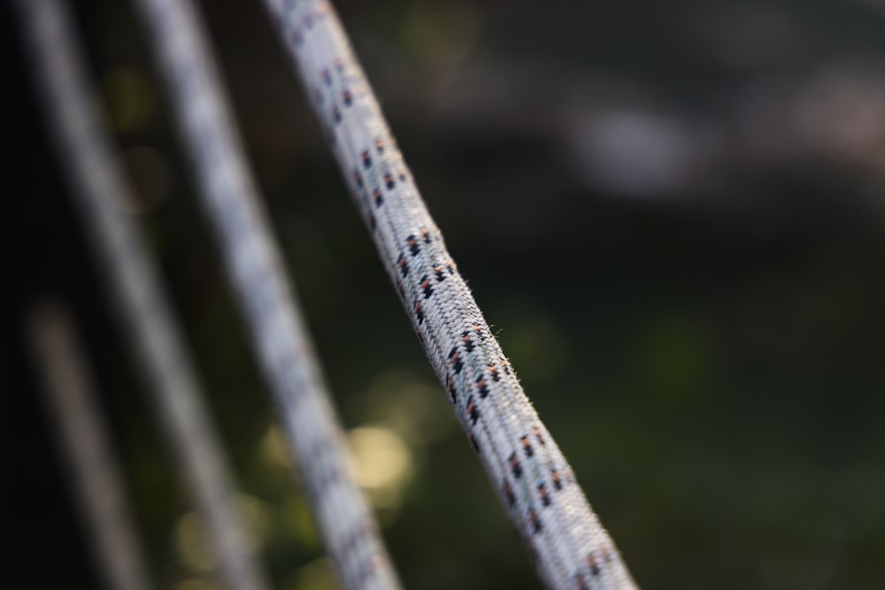 a close up of a rope with a blurry background