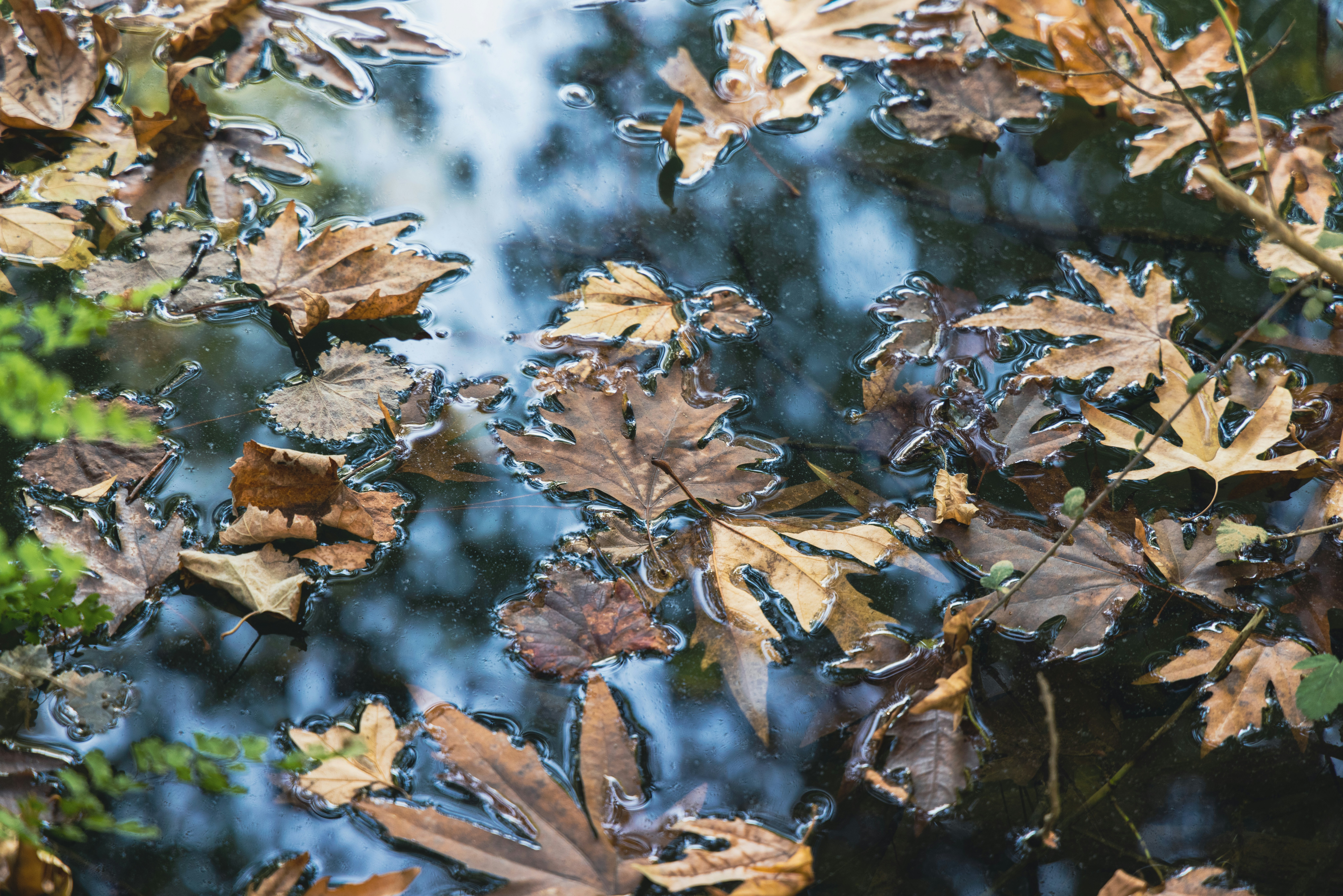 Photo by enginakyurt