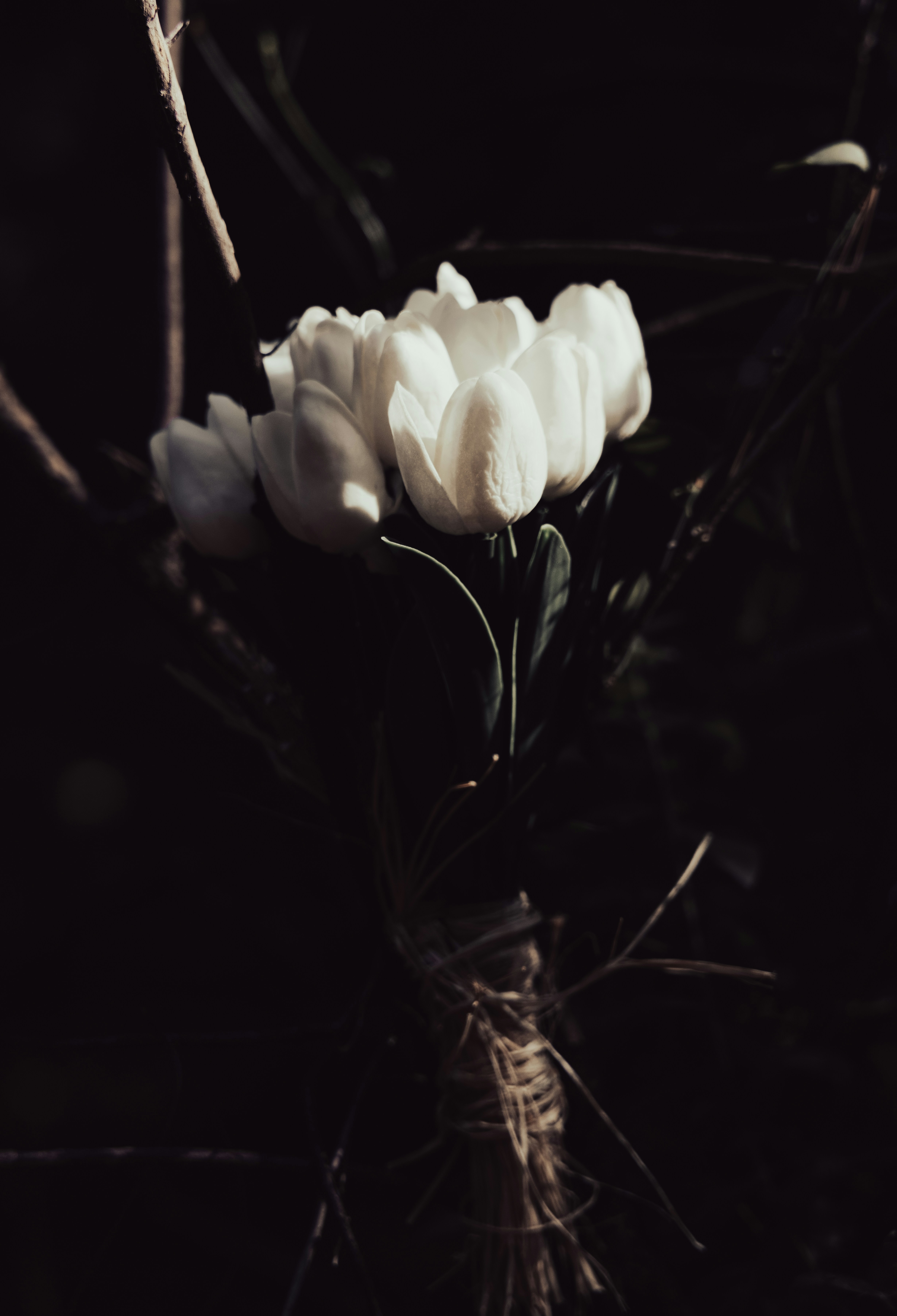 Photo by enginakyurt