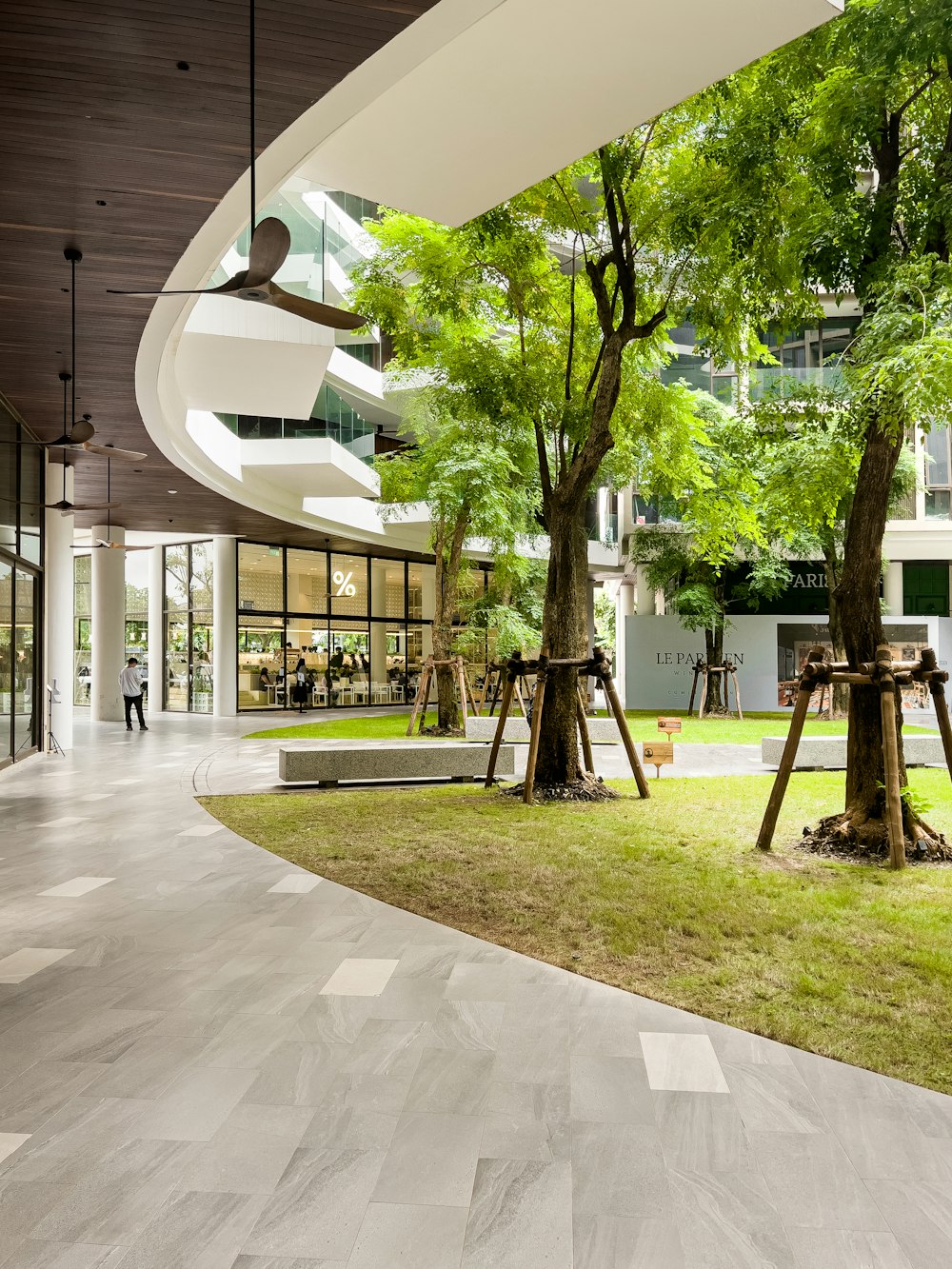 a large open space with trees and benches