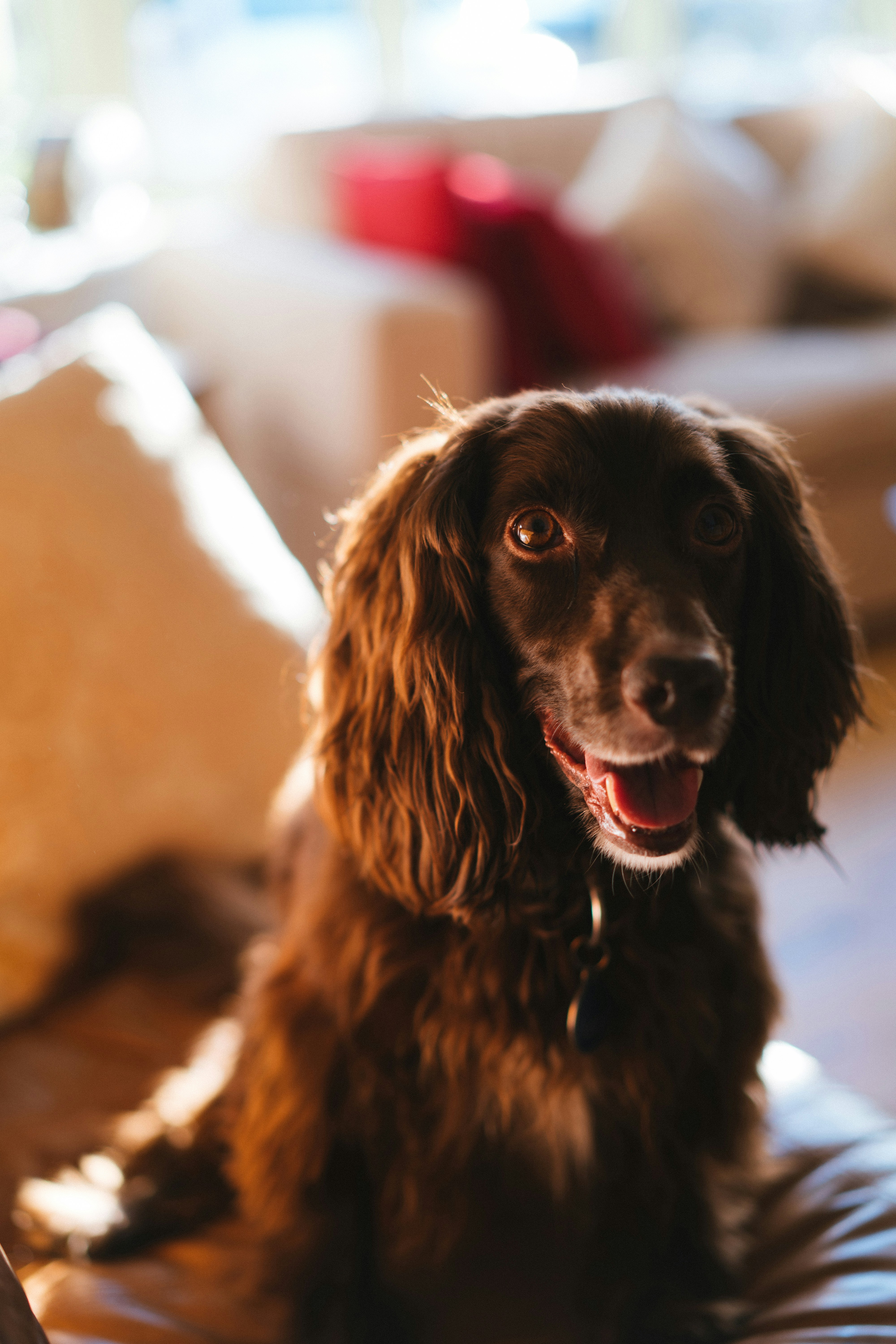 Photo by philhearing