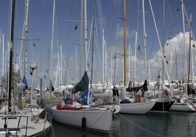 A vibrant gathering of silent fleet members at a sunny marina meetup.