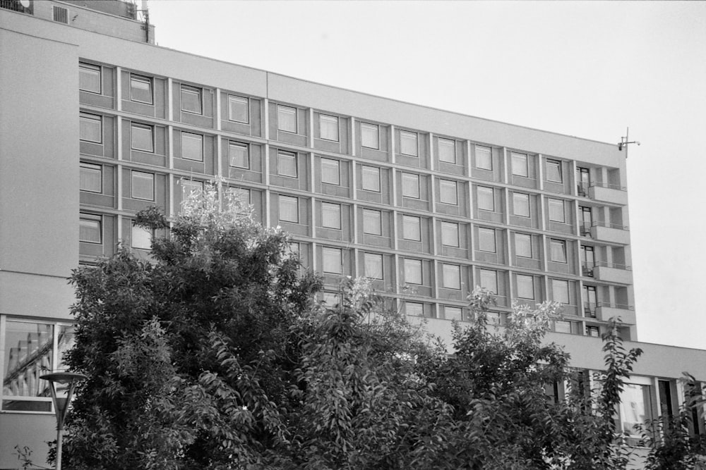 a tall building with lots of windows next to trees