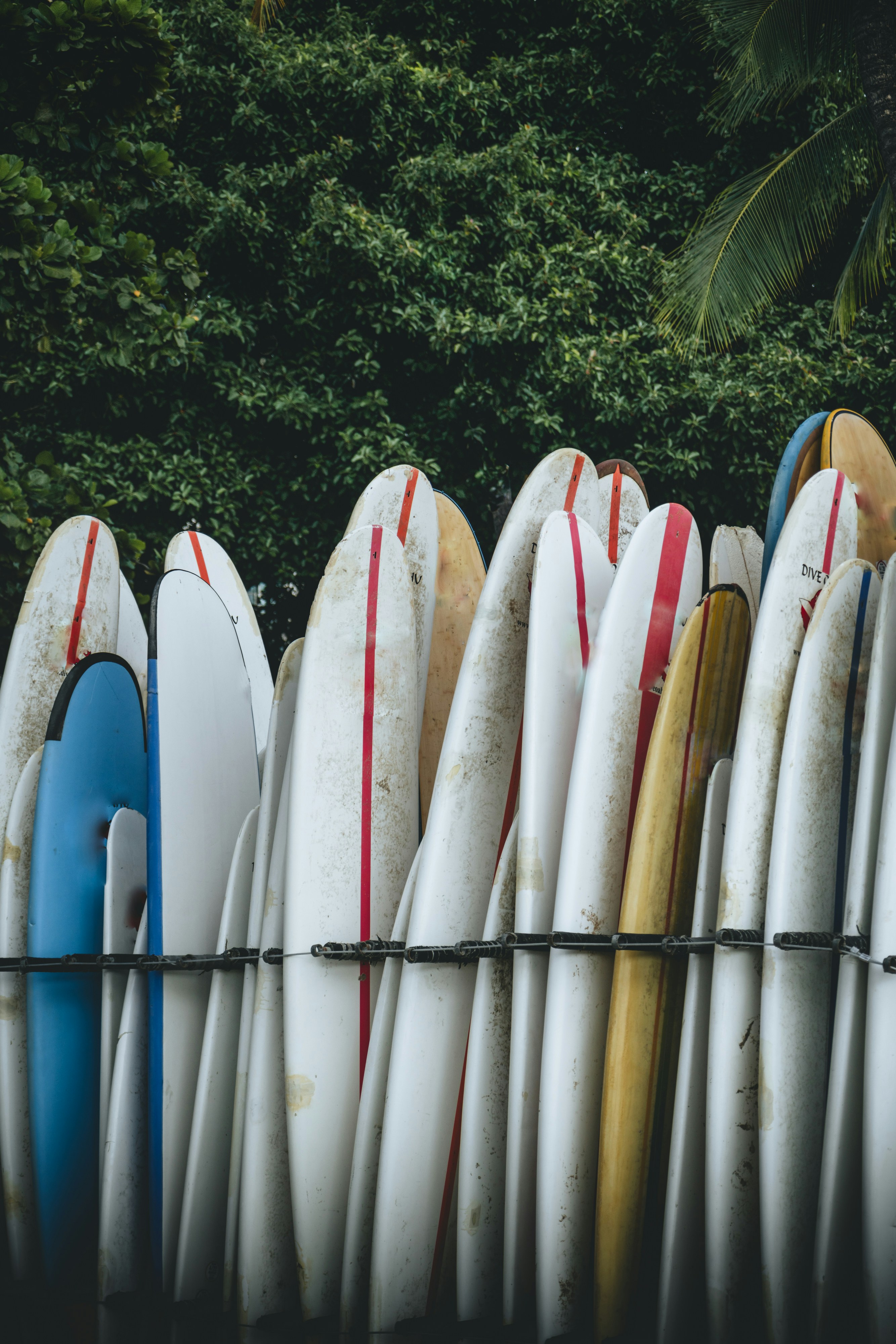 Comparison of different electric surfboard types, including jetboards and hydrofoils