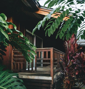 a house with a porch surrounded by trees and plants