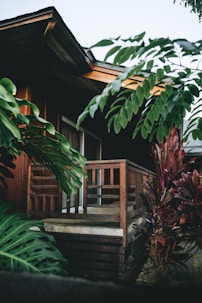 a house with a porch surrounded by trees and plants