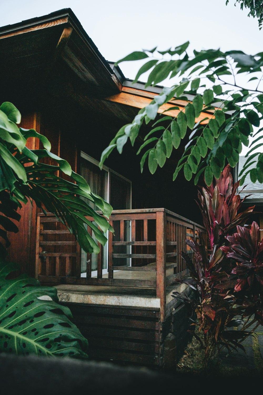 a house with a porch surrounded by trees and plants