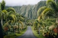 a road surrounded by palm trees and mountains