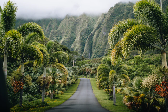 Mountain road, Oahu