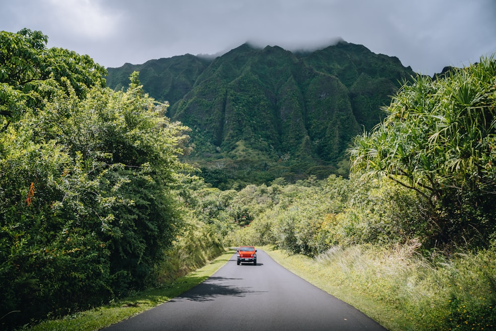 a red car driving down a road next to a lush green forest