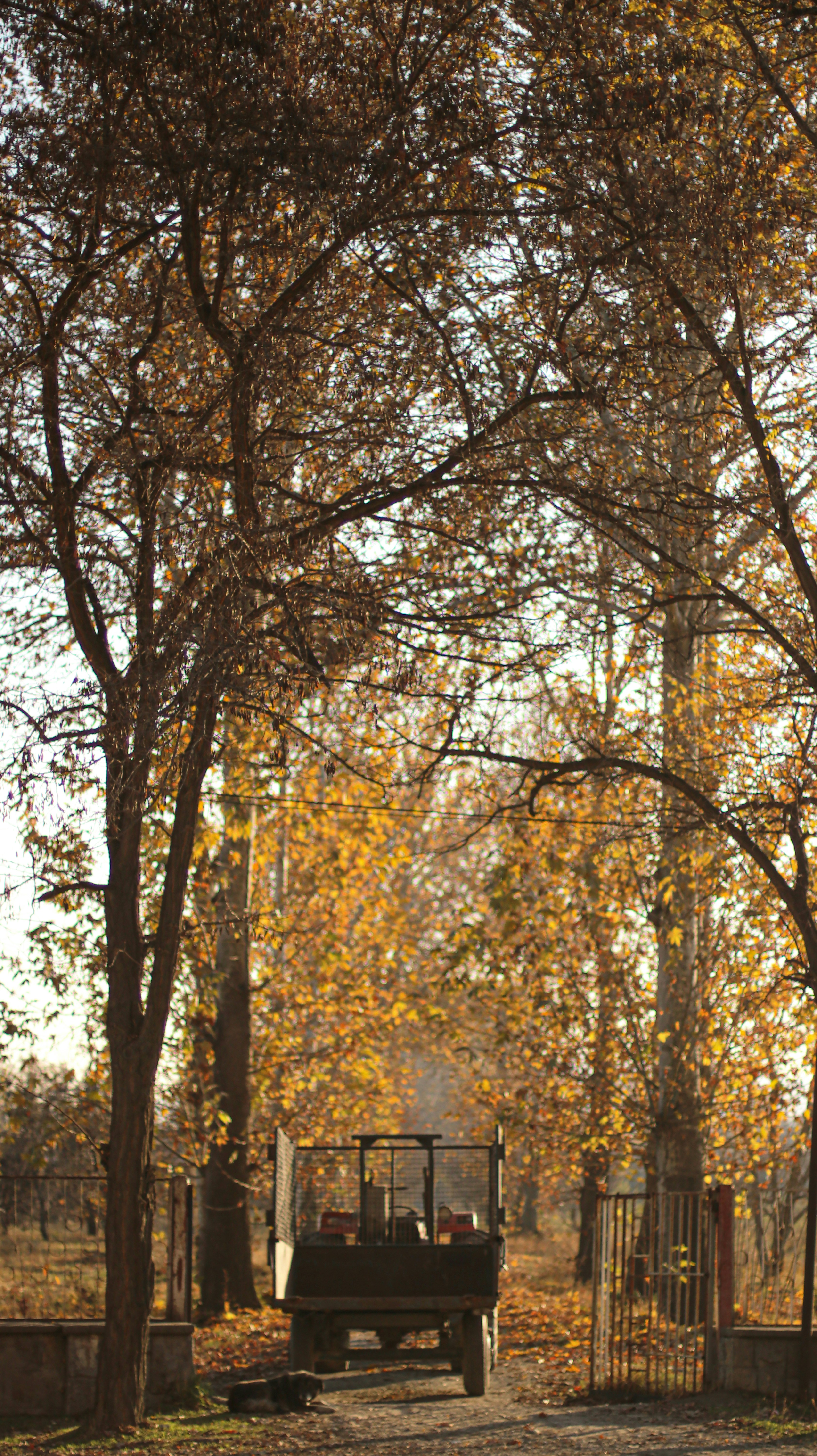 Photo by mobinalizadehph