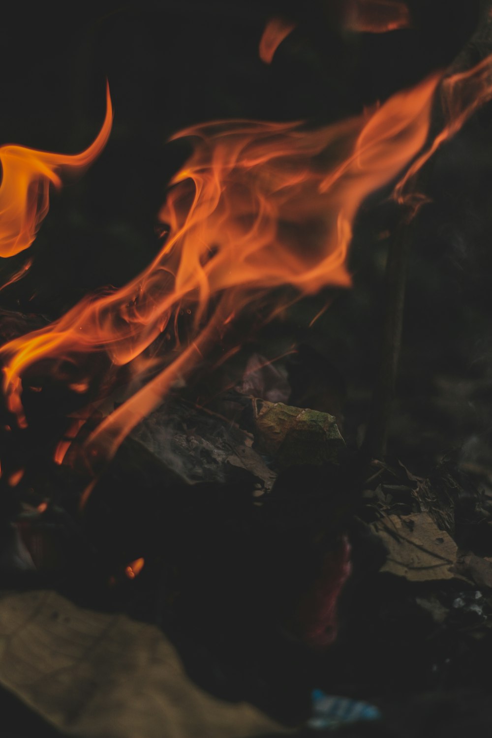 a close up of a fire burning in a forest