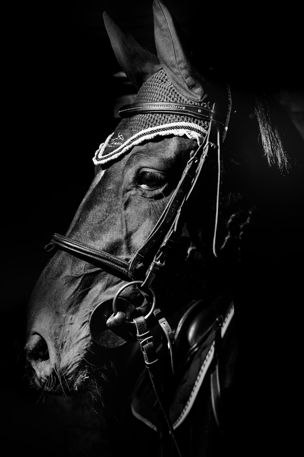 Una foto in bianco e nero di un cavallo