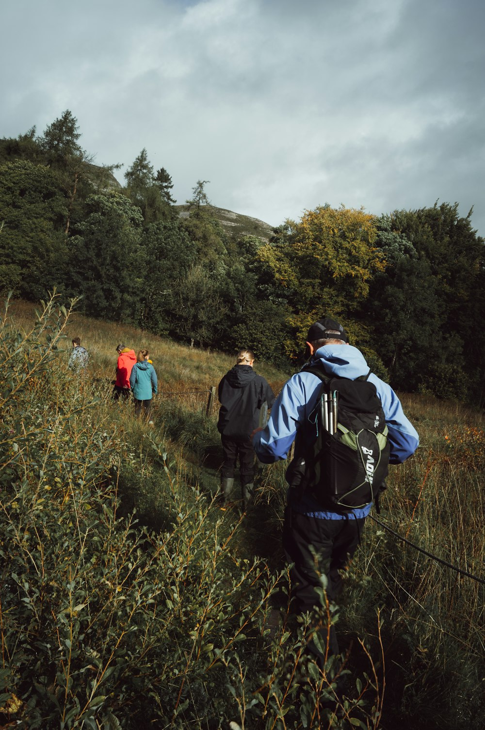 a group of people walking through a lush green field