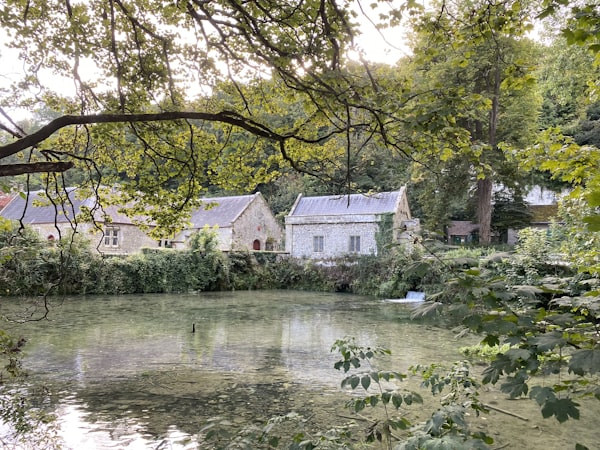 The Old Mill Restoration 1