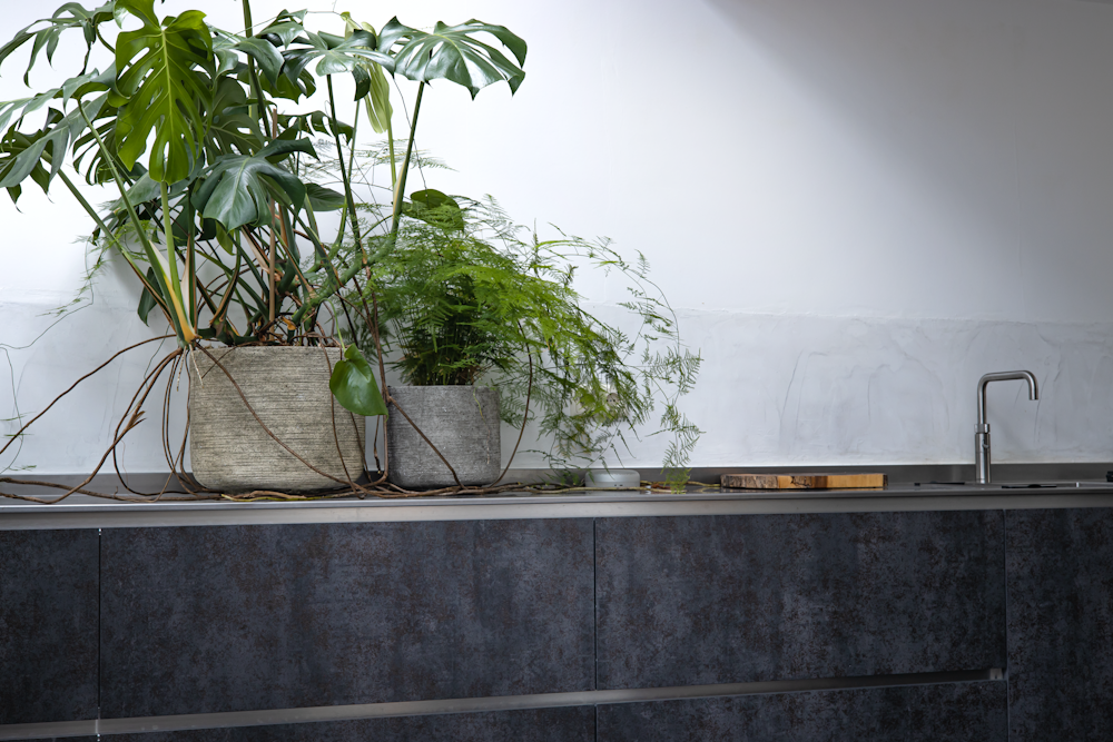 a potted plant sitting on top of a counter next to a sink