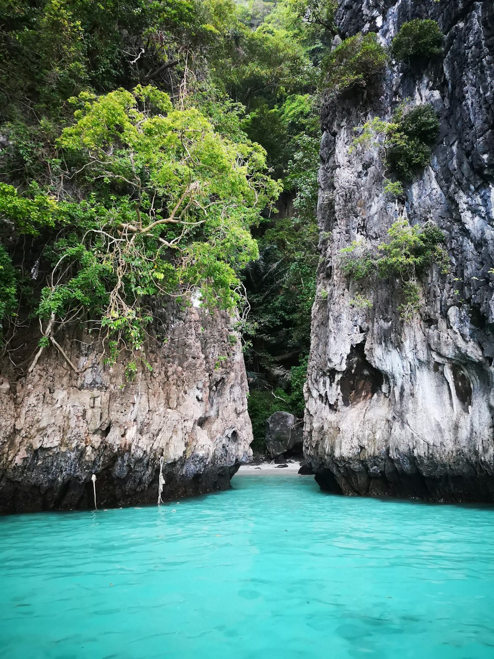 a body of water surrounded by rocky cliffs