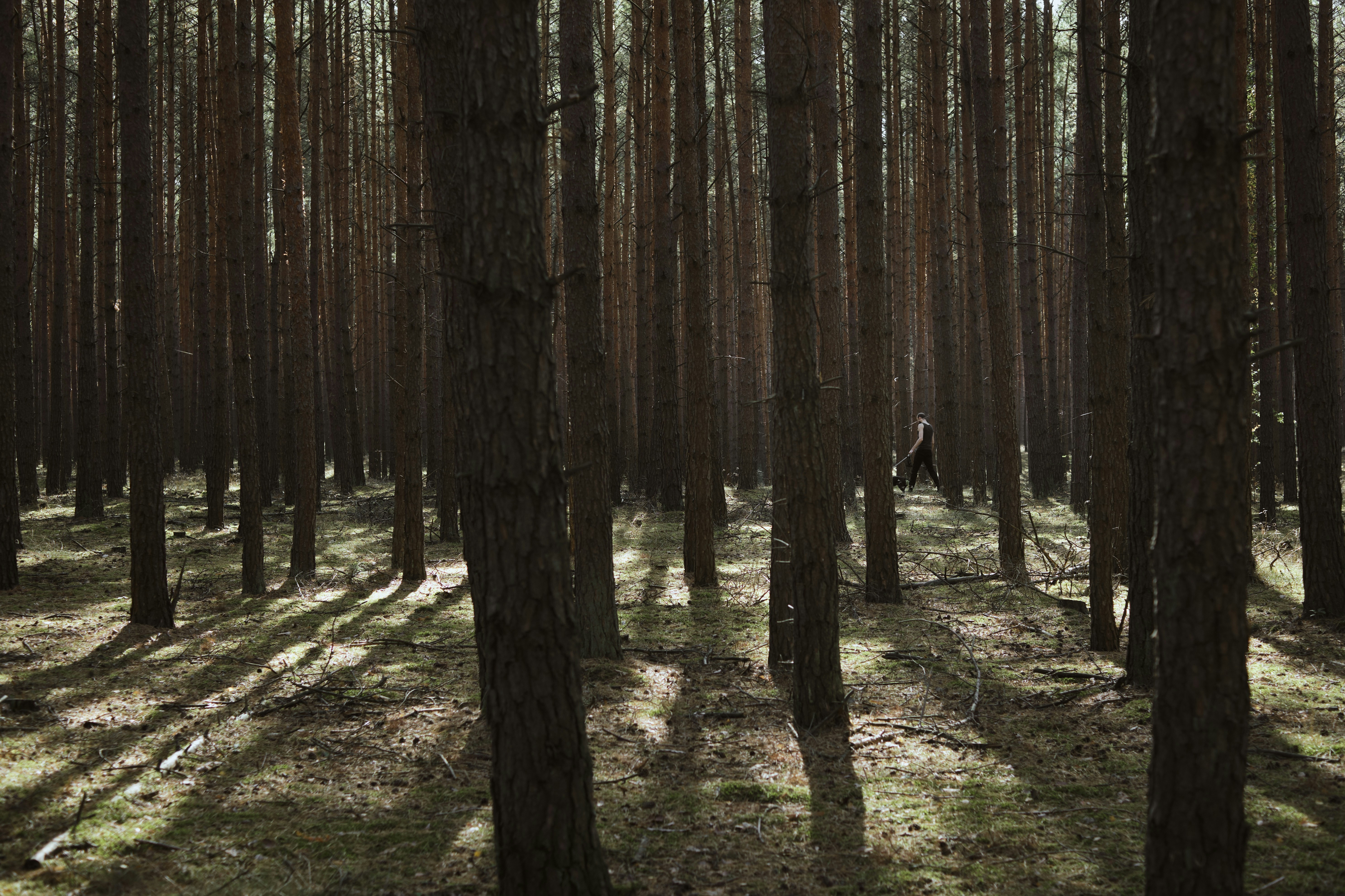 Photo by victor_vector