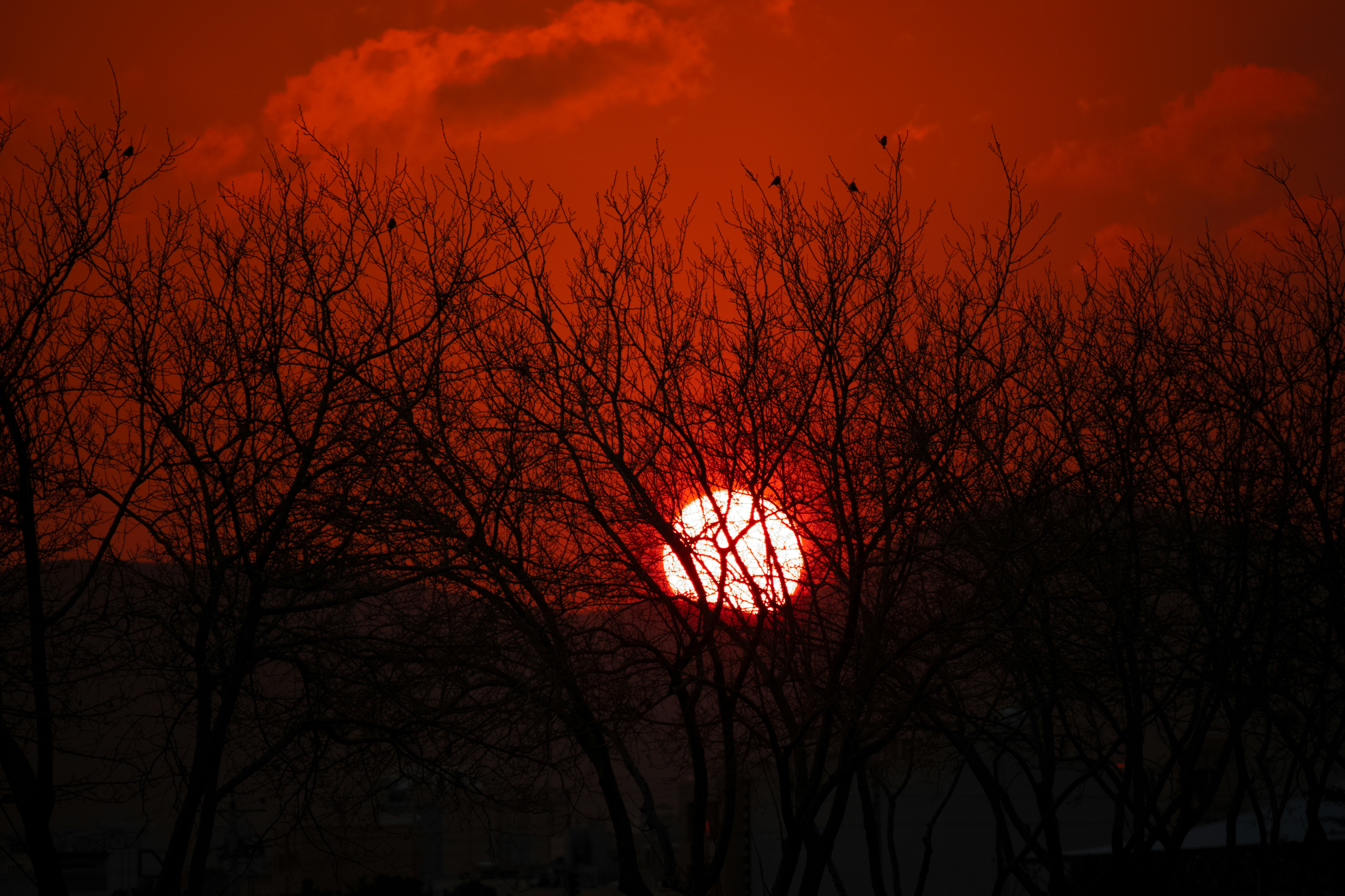 Photo by sinabahar76