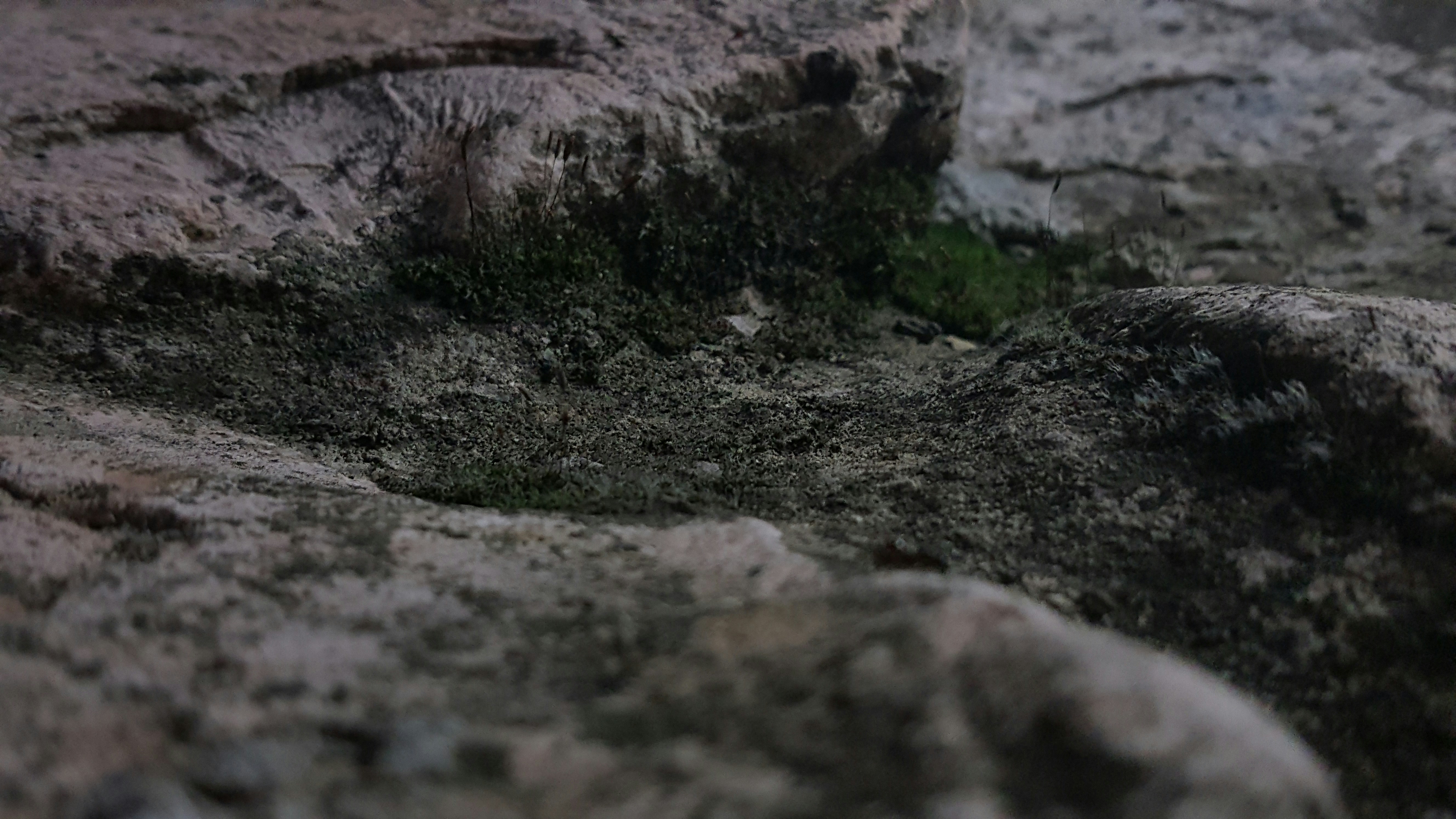 Photo by kimia_ghossi