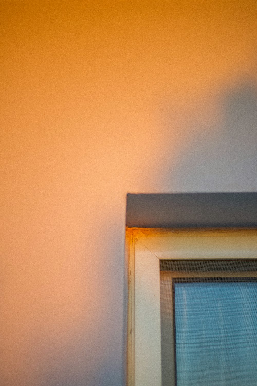 a cat sitting on top of a window sill