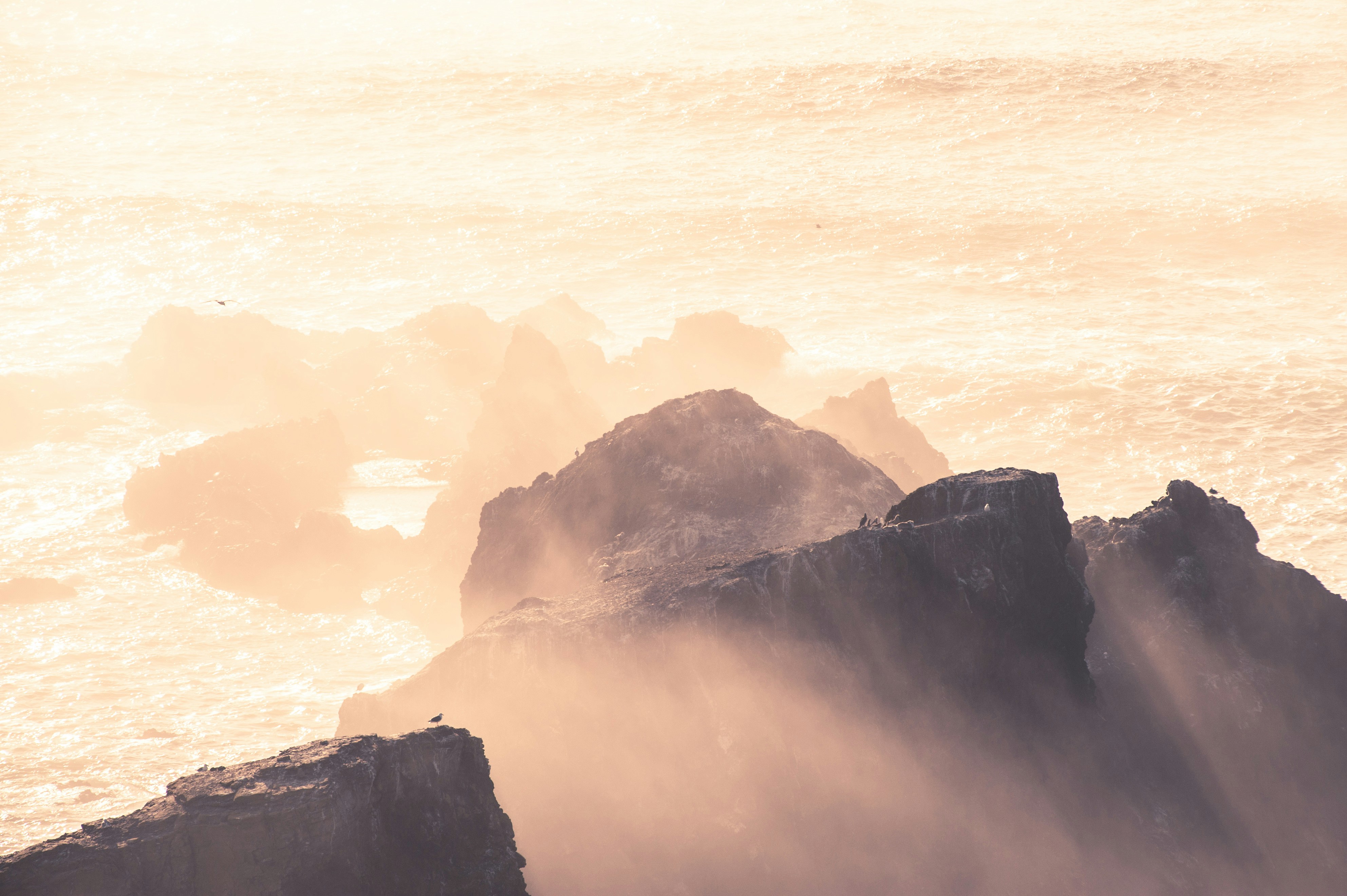 Photo by nicolasarnold