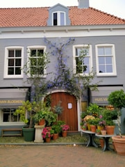 A quaint house with light gray walls and a red-tiled roof, adorned with vibrant greenery and colorful flowers surrounding the wooden front door. Blue flowering vines climb the facade, adding charm to the scene. The shop signs read 'HUIS VAN BLOEMEN,' suggesting a flower shop. Several potted plants are arranged neatly in front, enhancing the natural and inviting atmosphere.