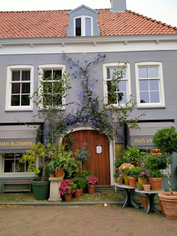 A quaint house with light gray walls and a red-tiled roof, adorned with vibrant greenery and colorful flowers surrounding the wooden front door. Blue flowering vines climb the facade, adding charm to the scene. The shop signs read 'HUIS VAN BLOEMEN,' suggesting a flower shop. Several potted plants are arranged neatly in front, enhancing the natural and inviting atmosphere.
