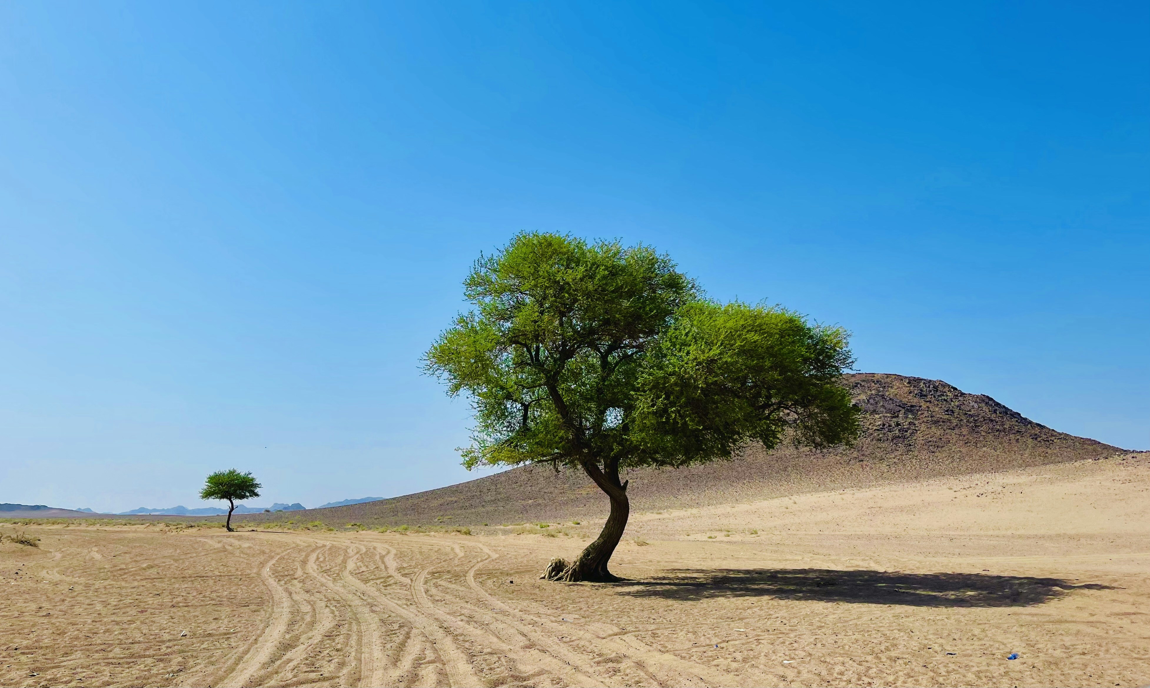 Photo by rabah_shammary