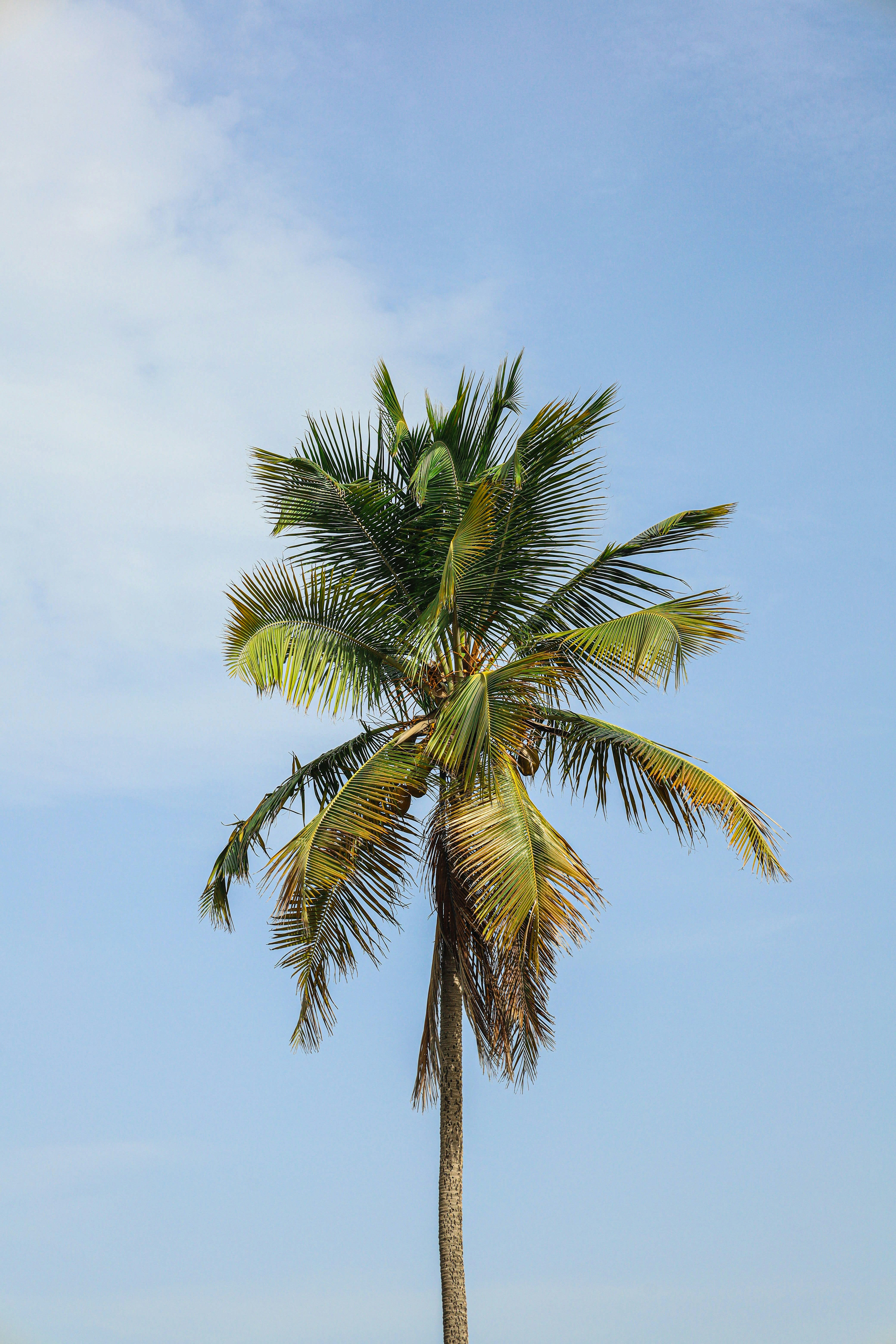 Photo by elojoboricua