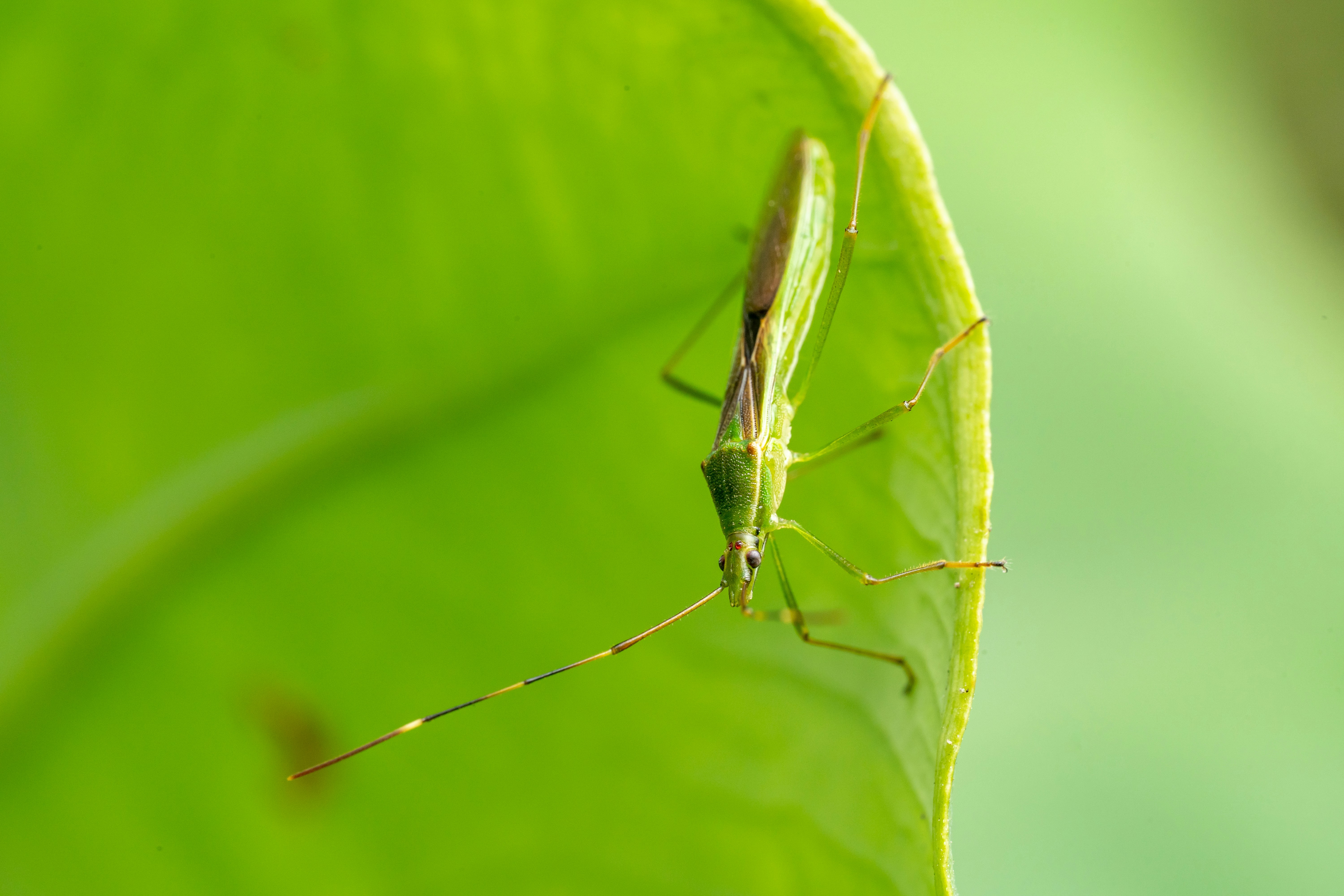 Photo by yooho962464