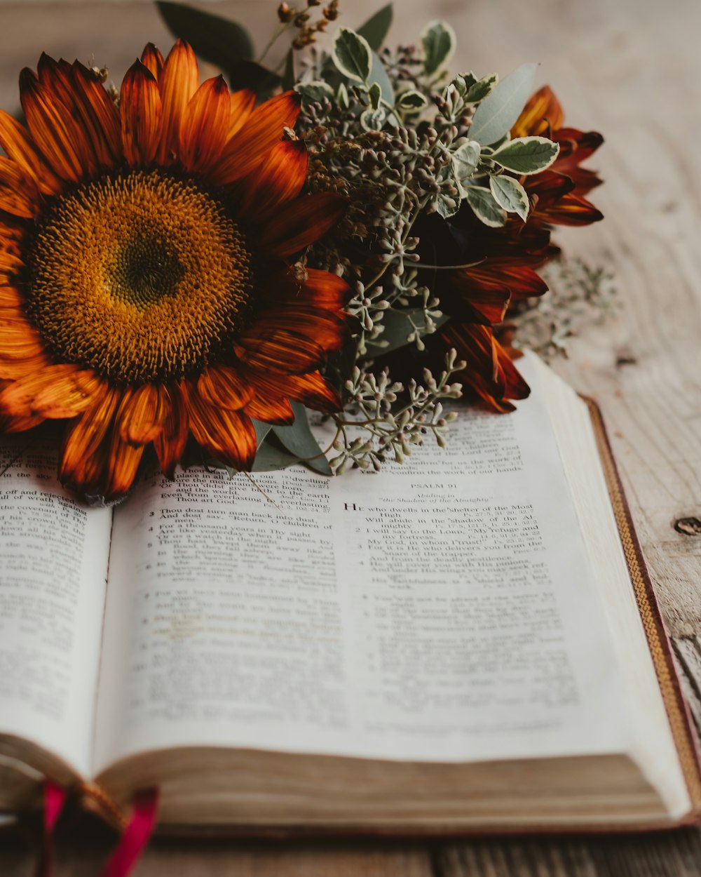 an open book with a flower on top of it