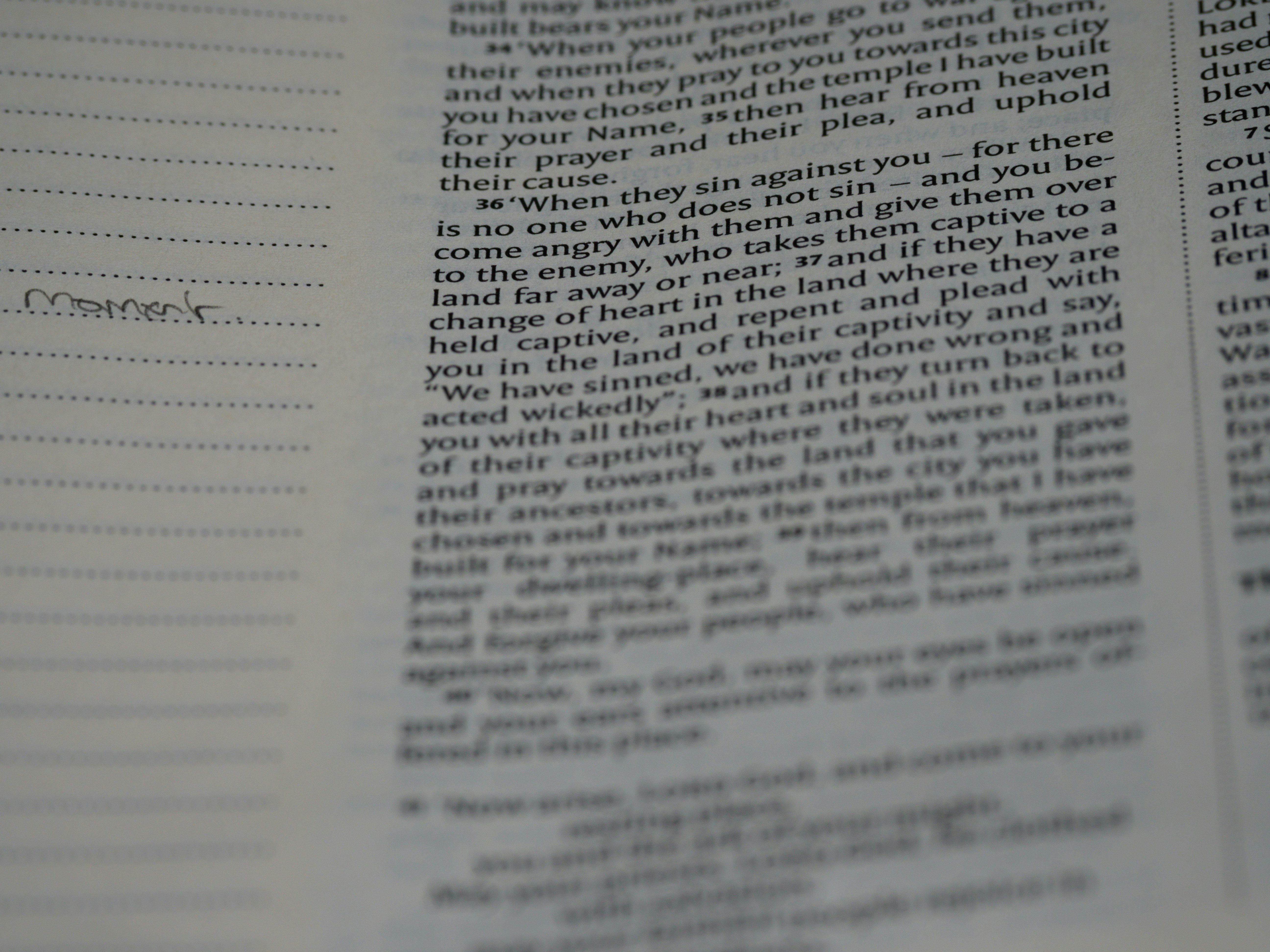 Photo by brett_jordan