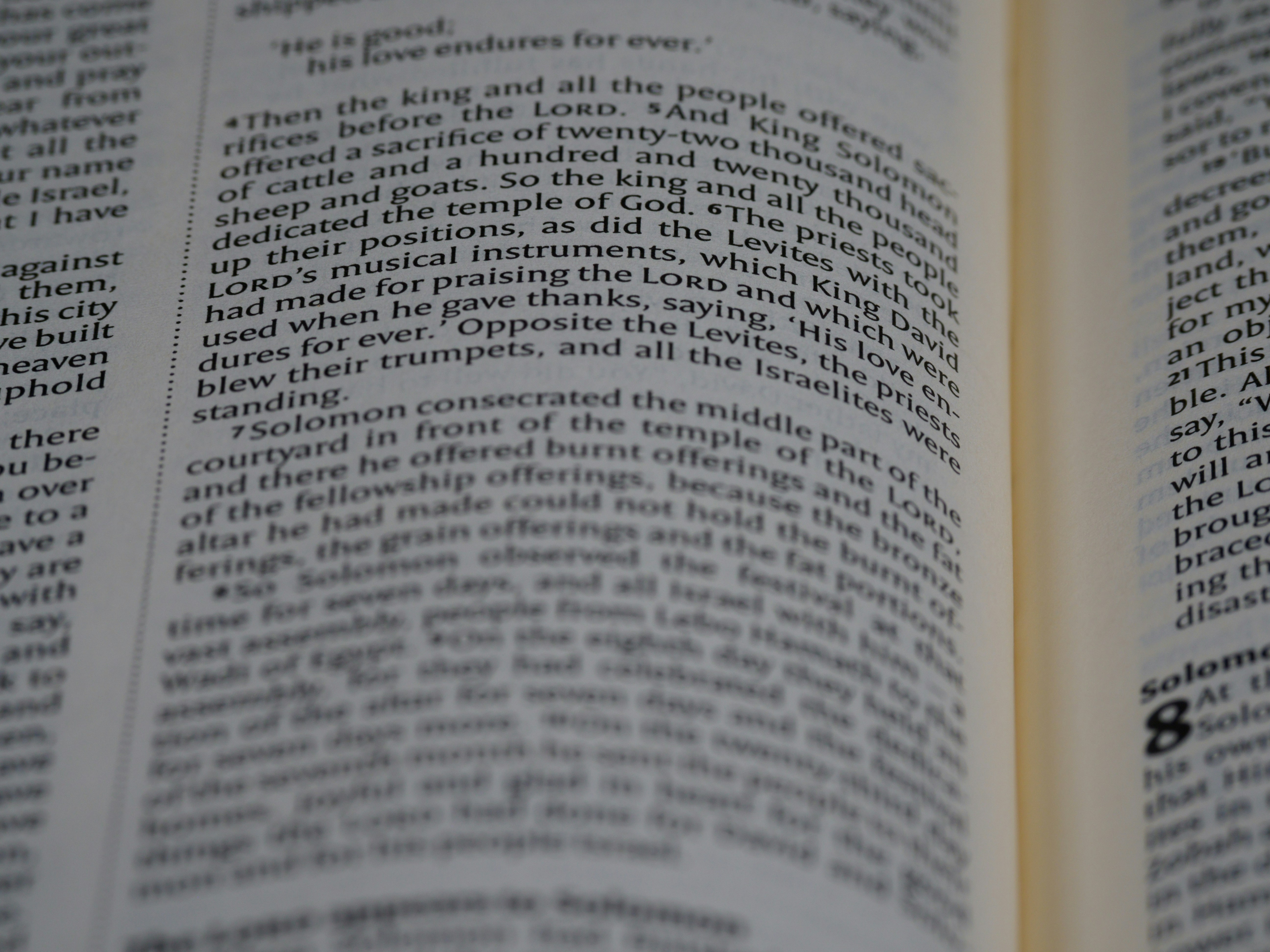 Photo by brett_jordan